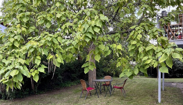 Apartment 'Vindumi' with Shared Garden, Balcony and Wi-Fi