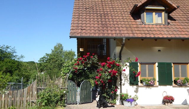 Apartment Waldblick