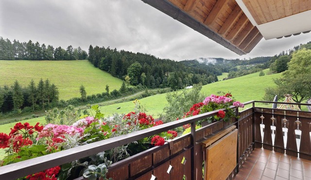 Apartment 'Waldblick' with Mountain View, Shared Garden and Wi-Fi