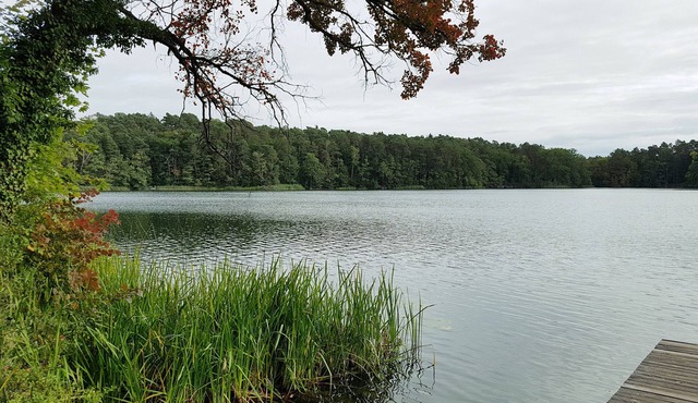 Apartment Waldsieversdorf/Buckow am Daebersee
