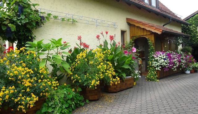 Apartment 'Wassergartenparadies' with Shared Terrace, Shared Garden and Wi-Fi