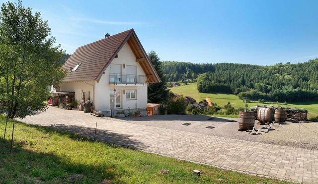 Apartment 'Weitblick' with Mountain View and Wi-Fi