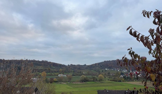 Apartment with a direct view of the Glauberg in a quiet location! Cycling and hiking trails