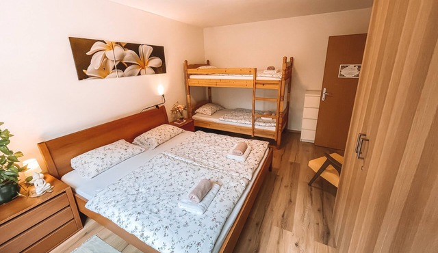 Apartment with Atrium Anabela in Tolmin