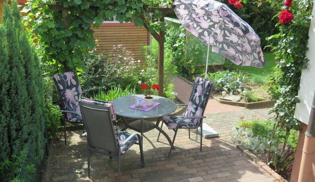 Apartment with outdoor seating under the vines | 3 * stars