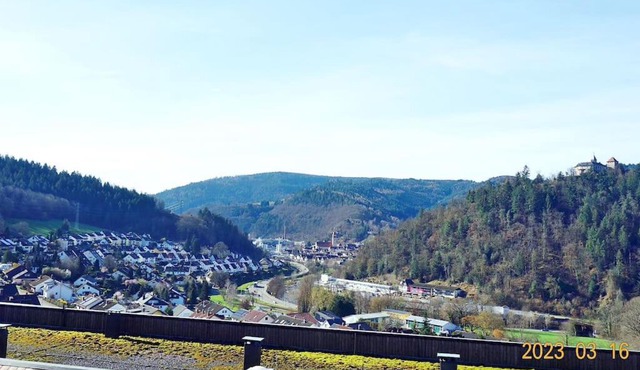 Apartment with panoramic views in the black forest