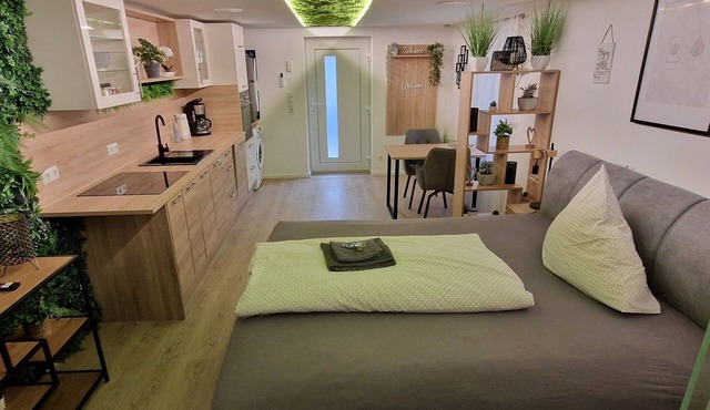 Apartment with private SAUNA, SMART-TV, WLAN, 1 DELUXE double bed