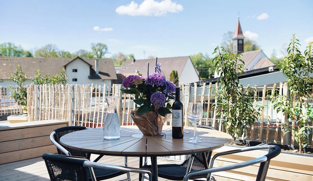 Apartment 'Wohnung Buche' with Shared Terrace, Balcony and Wi-Fi