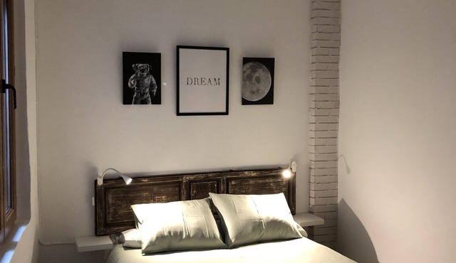 Apartment Zacatin Center