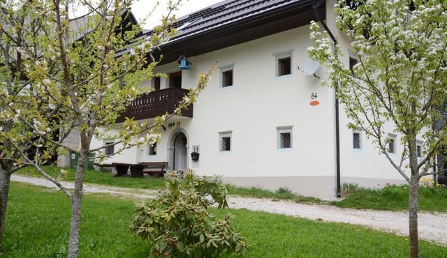 Apartment Zatrnik