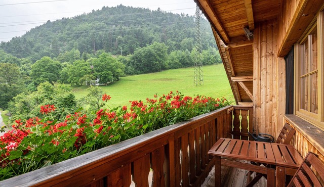 Apartment 'Zunerhof Abendsonne' with Mountain View, Balcony and Wi-Fi