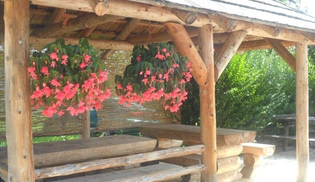 Apartments and rooms Ivanka, (13915), Rakovica, hr