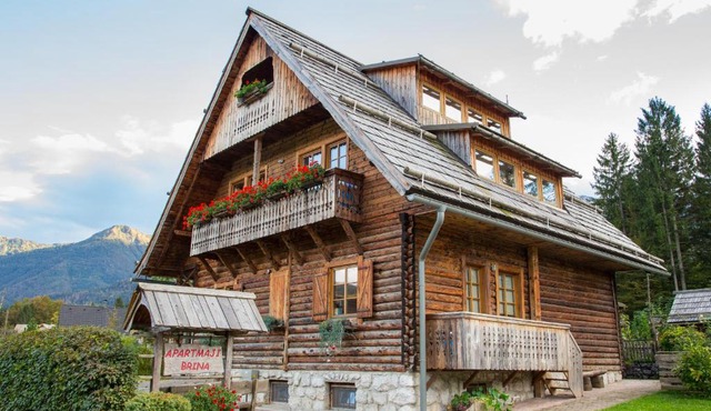 Apartments Brina