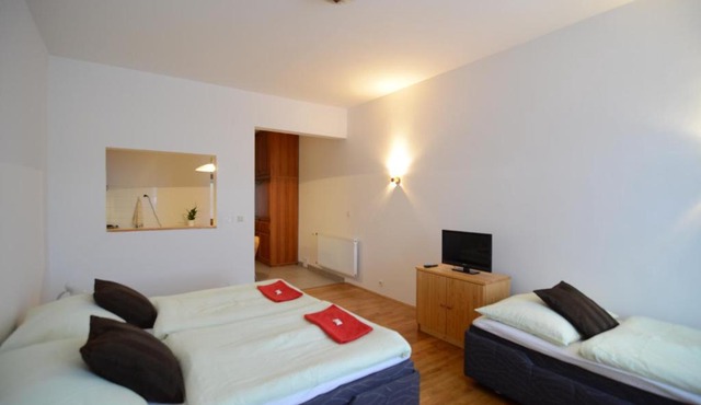 Apartments Karlin
