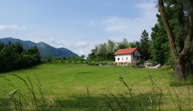 Apartments Leni