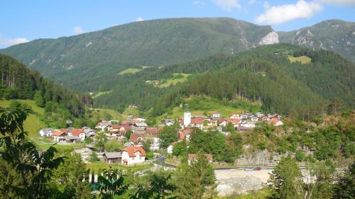 Apartments Savinja