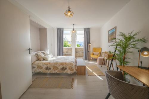 ApArtStudio