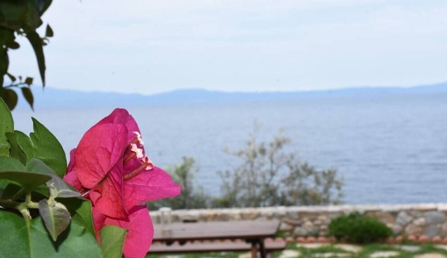 Aphrodite * Charming apt with stunning view!