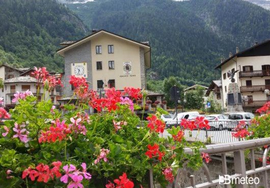 Appartamento appena ristrutturato: Da Lea