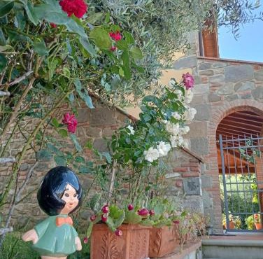 Appartamento Olivella
