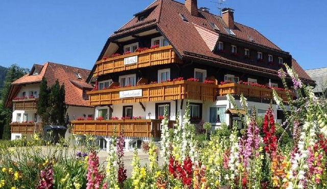 Appartement B, 48qm, 1 Schlafzimmer, max 3 Personen