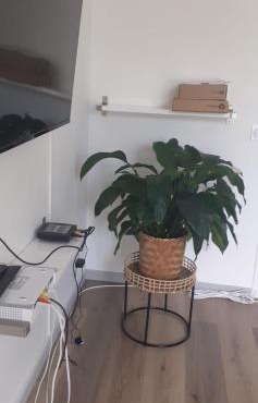 appartement proche paris et Roissy