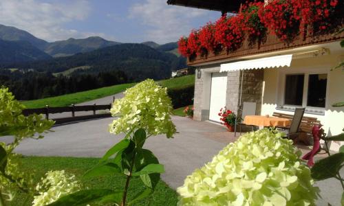 Appartement Schilcher