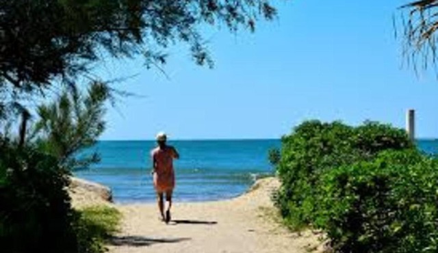 Appartement spacieux au calme et face à la pinède à 2 minutes de la plage