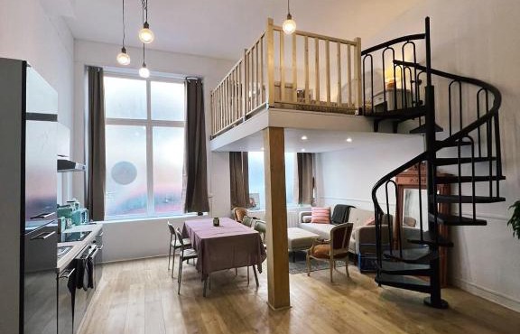Appartement studio loft cosy centre st Etienne