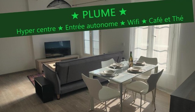 Appartement T3 PLUME Hyper centre d'ERNÉE