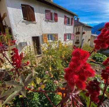 Appartement typique avec Carnotzet