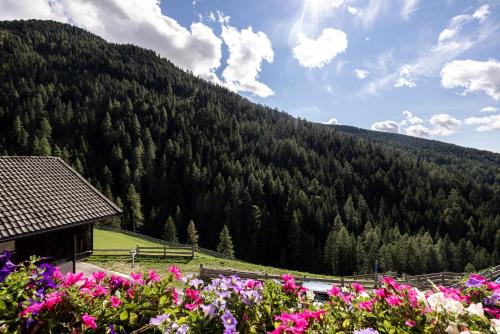 Apt Talblick Hinterproslhof
