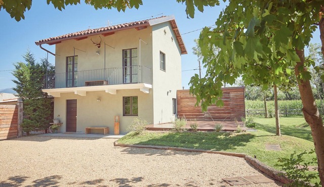 AQVAE Unconventional Country House