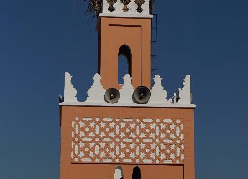 Araf House