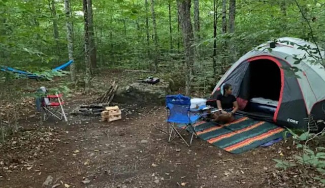 Arcabuco -upper camp Taino Woods, 15 minutes to Bethel Woods Concerts, Casino,