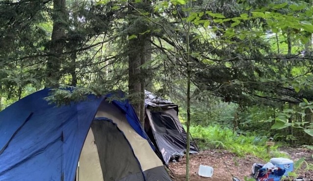 Arcabuco -upper camp Taino Woods, 15 minutes to Bethel Woods Concerts, Casino.
