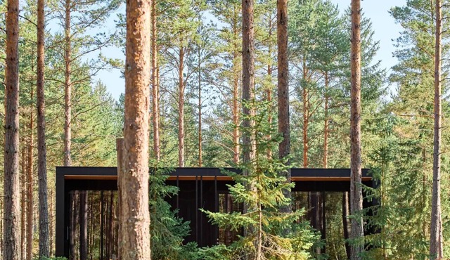 Architect-designed cabin in Söderhamn archipelago