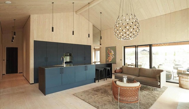 Architect-designed house in the first row of dunes