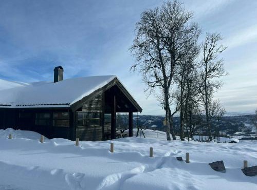 Architectural Gem With Views Of Hallingskarvet
