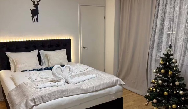 Arctic Dream Suites