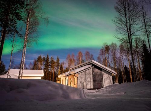 Arctic Hideout