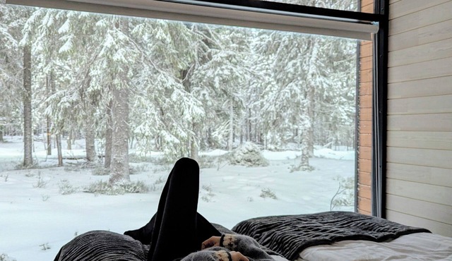 Arctic Nest
