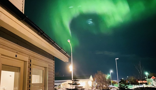 Arctic Wind