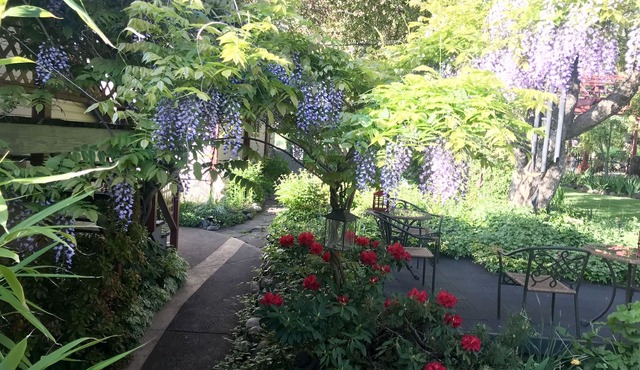 Arden Forest Inn