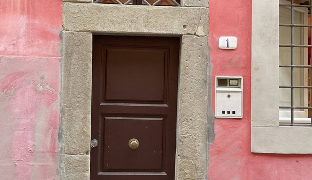 Ardiglione