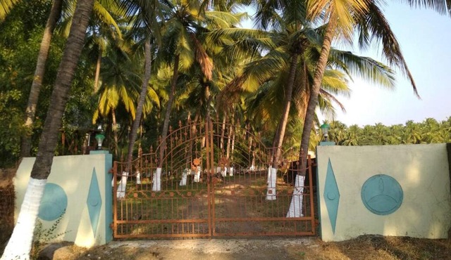Arecapalm, Murud