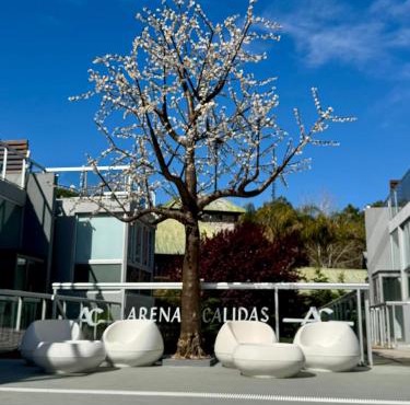 Arenas Calidas Carilo