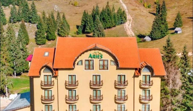 Aries Vârtop