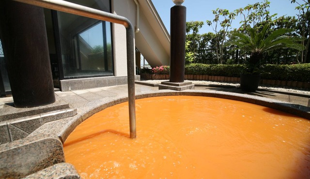 Arima Hot spring Ryokan Hanamusubi
