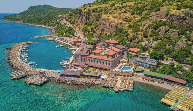 Aristo Pension